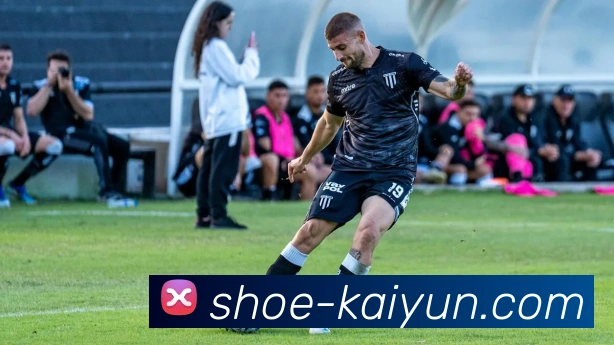 开云平台生态图